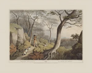 Pheasant Shooting 1- Giclee Print From British Field Sports
