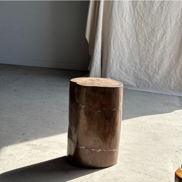 Side Table in Brown Petrified Wood, 1980s For Sale - Image 12 of 18