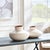 Early 21st Century Fiorella Vase Small For Sale - Image 5 of 6