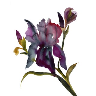 "Iris No. 204" Contemporary Original Botanical Flowers Watercolor Painting by Elizabeth Becker For Sale
