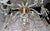 1900s Cut Crystal George III Chandelier With Faceted Column For Sale - Image 11 of 12