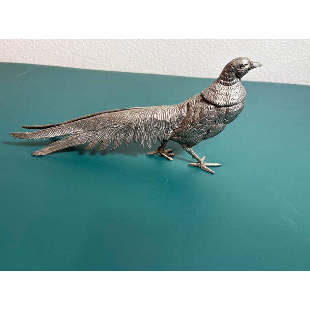 These silver style pheasents are a pair of male and female birds who are in a relaxed pose as they are birds who mate for...