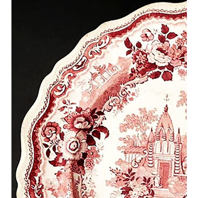 Early 19th Century Antique William Adams & Sons Staffordshire Red Transferware Dinner Plate For Sale - Image 5 of 5