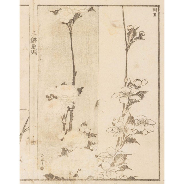 Japanese School Botanical Woodblock Prints, 3 For Sale - Image 9 of 17