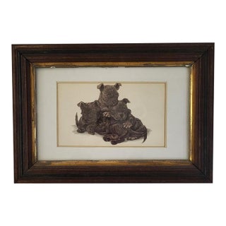 Litter of Brown Scottie Puppies Vintage Print in Antique Frame & Glass For Sale