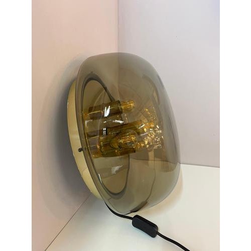 Metal Wall or Ceiling Lamp in Brass and Smoked Glass from Kaiser Idell / Kaiser Leuchten For Sale - Image 7 of 11