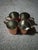 GORGEOUS Set of 4 Baker Hart & Stuart 4" Copper Tumblers Made in Korea This product is a set of four beautiful 4" copper...