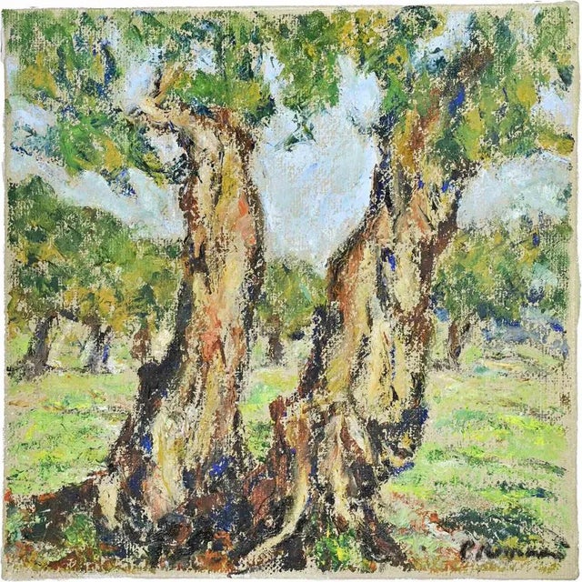 Pino Romanò, Olive Grove, Oil Painting, 1990s For Sale