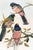 Vintage tropical bird artwork reproduced and refined for modern printing. Featuring richly colored trogons perched among...