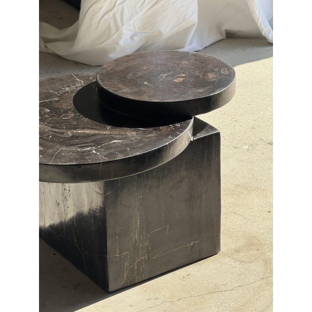 Coffee Table in Brown Petrified Wood with Double Circular Top on Cubic Base, Indonesia, 1980s For Sale - Image 11 of 16