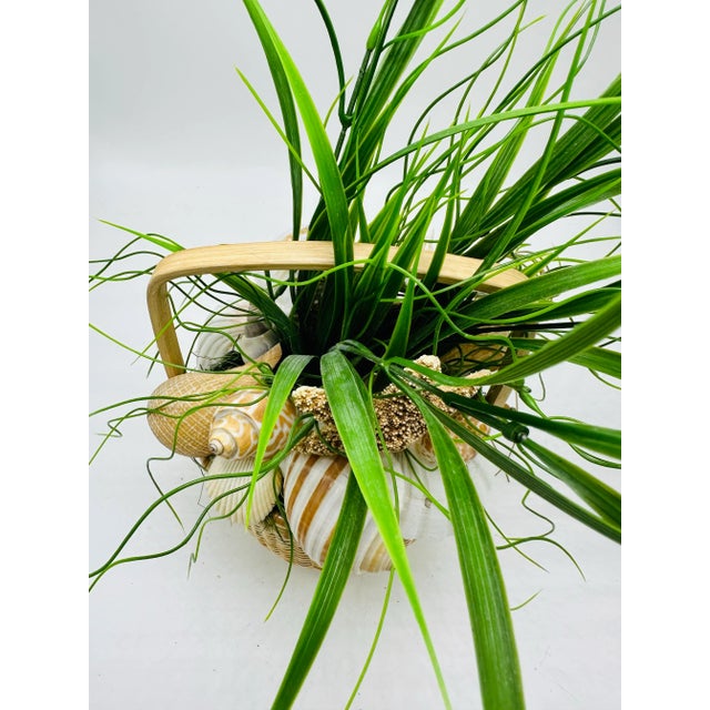 1980s Nantucket Basket Filled With Shells For Sale - Image 5 of 10