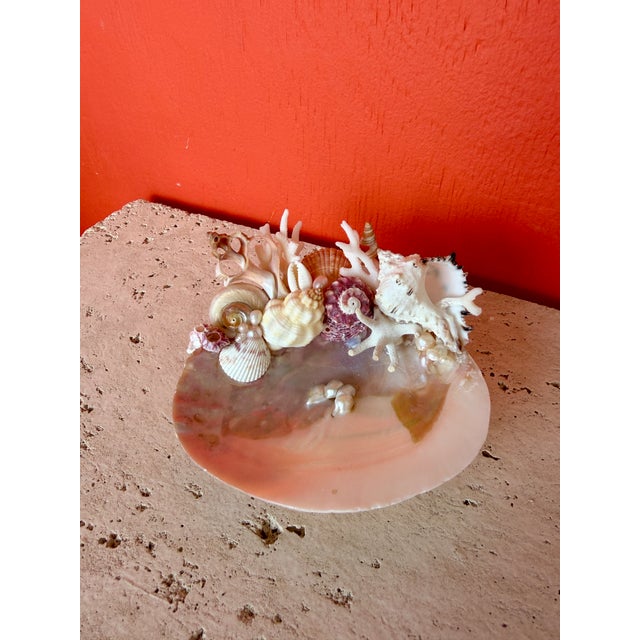 CSS Seashell "What-not" Oyster Shell dish. Real Pearls embedded in the oyster dish as well atop the decoration. This makes...