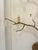 Contemporary Currey & Co Forest Wall Sconces - Pair For Sale - Image 3 of 9