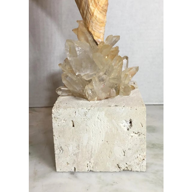 Glass Vintage One of a Kind Sea Shell and Crystal Quartz by Joseph Malekan For Sale - Image 7 of 13