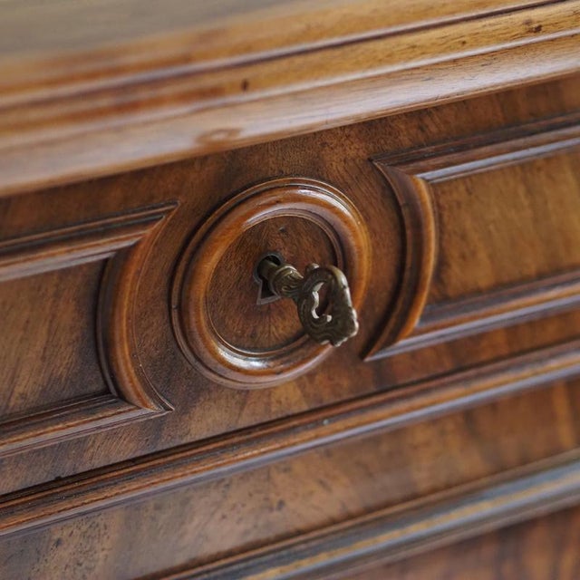 Louis Philippe Chest of Drawers in Walnut Burl, 1860 For Sale - Image 4 of 18