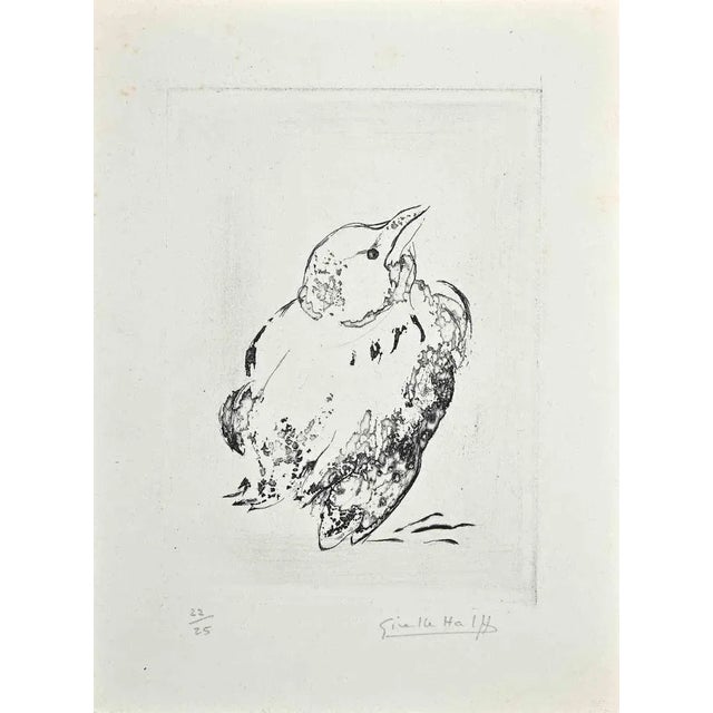 Pigeon is an original etching realized by Giselle Halff in the mid-20th Century Good condition. Pencil signature. Edition...
