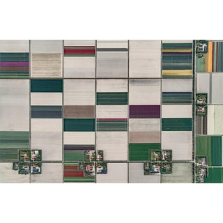"AV_Tulip_Fileds_001" Contemporary Limited Edition Fine Art Photograph Print by Bernhard Lang For Sale