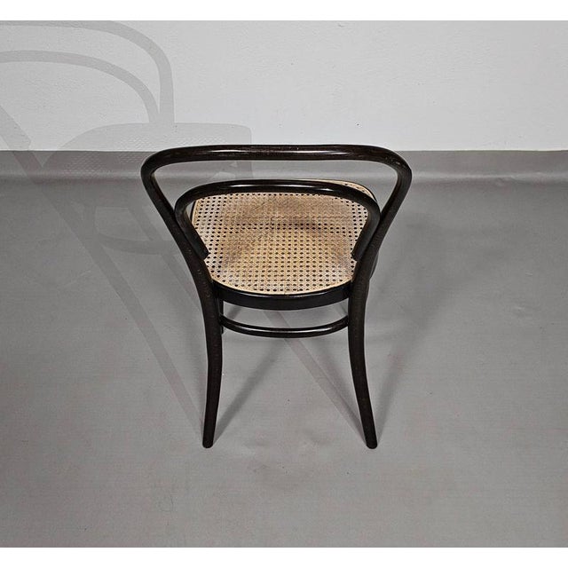 Brown Model 214 and 79 Cafe Chairs with Cane Seats by Michael Thonet, Set of 3 For Sale - Image 8 of 18