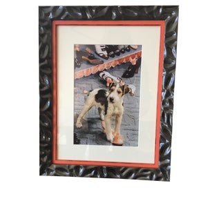 1930's Framed Terrier Dog With Shoes Photograph by Nikolas Muray For Sale