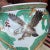1970s Chinese Porcelain Jardiniere Planter For Sale - Image 6 of 12