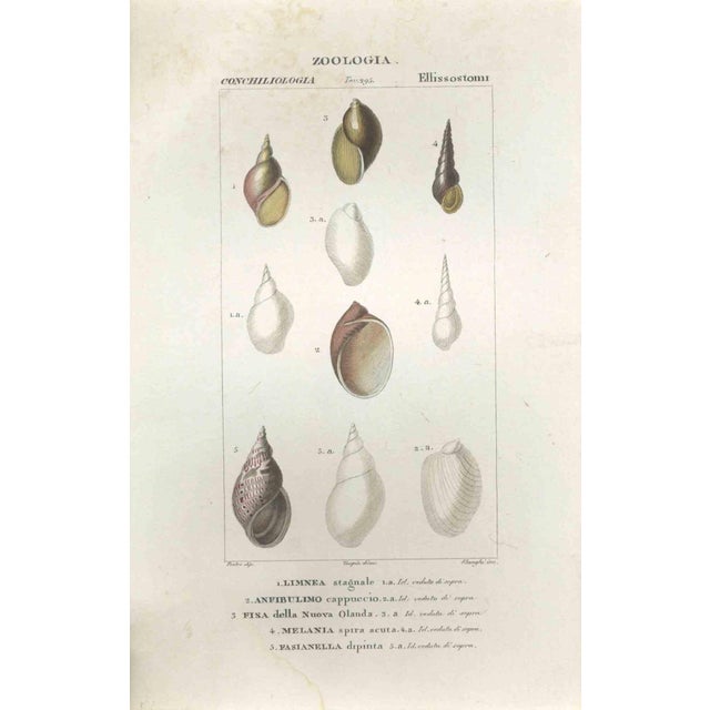 Pierre Jean François Turpin, Ellissostomi, Etching, 1831 For Sale - Image 3 of 3