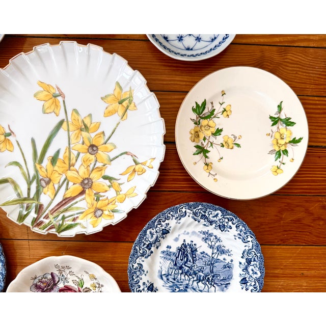 Early 20th Century Floral Wall Plate Collection - 9 Plates For Sale - Image 5 of 15