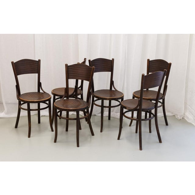 Vintage Bentwood Bistro Chairs from Fischel 1920s. Set of 6 For Sale - Image 14 of 18