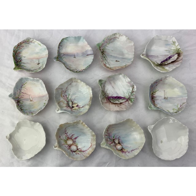 Late 20th Century Late 20th Century Limoges France Oyster Cups, Set of 12 For Sale - Image 5 of 9