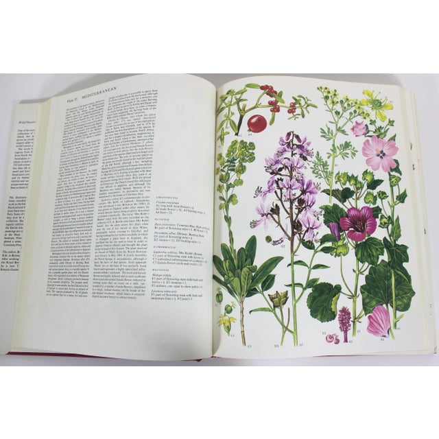 1970s 1970 Wildflowers of the World Hardcover Book Wild Flowers Botanical Painted Plants Colorful Flower For Sale - Image 5 of 12