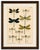 Title: Calopteryx & Lestes Damselfly Lithograph from Die Geradflügler, 1908 : An original color lithograph depicting...