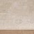 2020s Pasargad Home Eterna Beige Polyester Area Rug- 3'11'' X 5' 9'' For Sale - Image 5 of 9