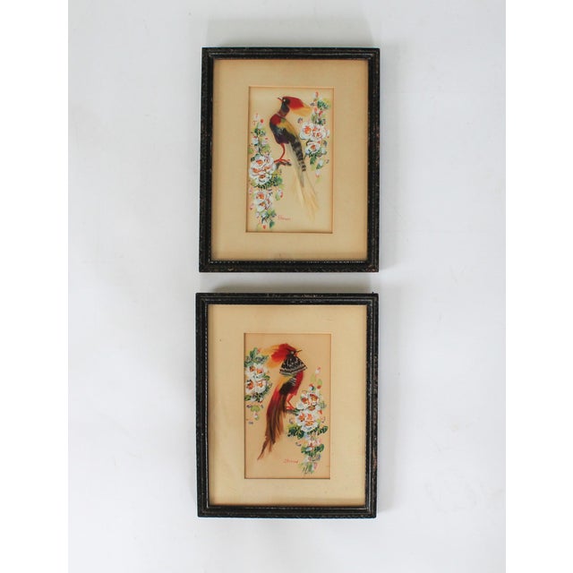 Vintage Mexican Feather Art Bird Wall Hangings For Sale - Image 4 of 12