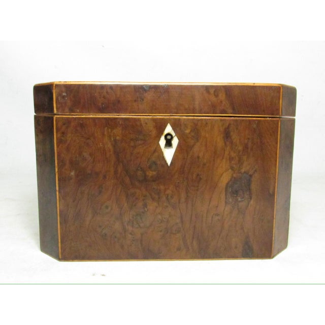 Wood 18th Century English Burr Yew Wood Tea Caddy For Sale - Image 7 of 17