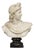 Italian School, Male Bust, 20th Century, Carrara Marble For Sale