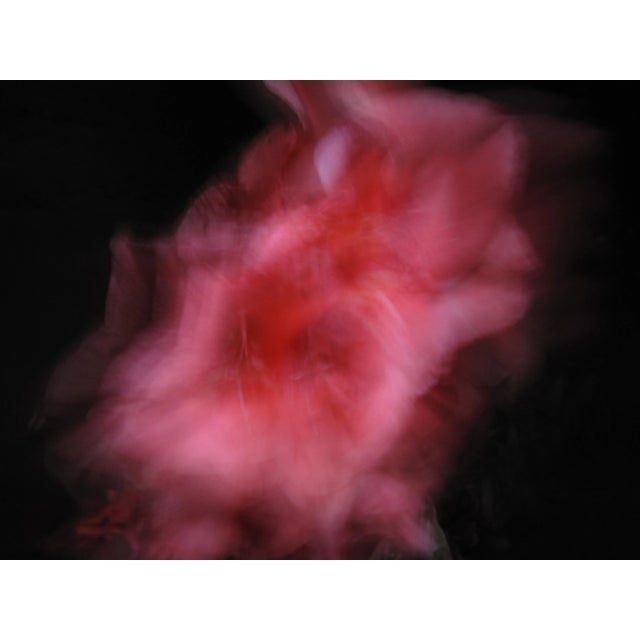 Contemporary Abstract Fine Art Photographic Print - Flower For Sale