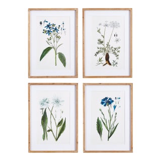 Mountain Botanical Prints, Set Of 4 For Sale