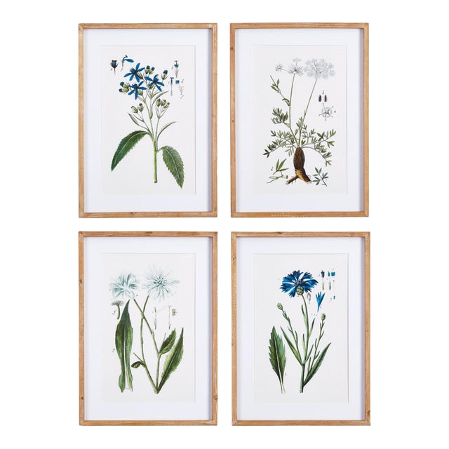 Mountain Botanical Prints, Set Of 4 For Sale