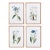 Mountain Botanical Prints, Set Of 4 For Sale