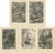 Paper Brehm, Monkey Prints, 1890, Paper, Set of 5 For Sale - Image 7 of 7