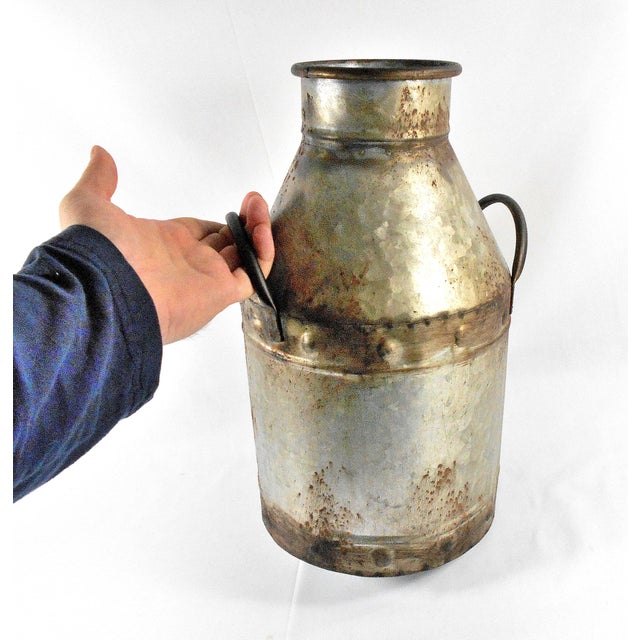 Vintage Galvanized Metal Decorative Milk Jug Chairish