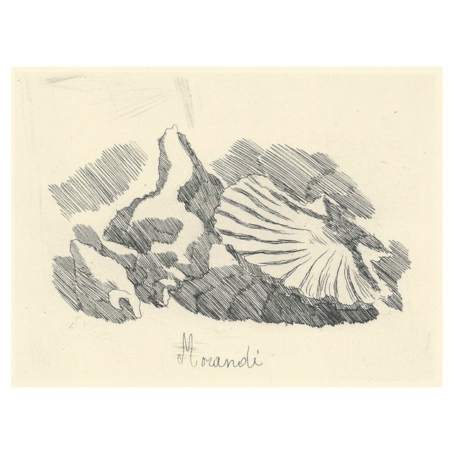 Giorgio Morandi, Shell Valve, 1957, Lithograph For Sale