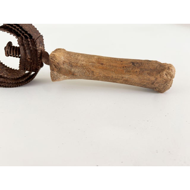 Antique Primitive Horse Brush For Sale In Minneapolis - Image 6 of 7