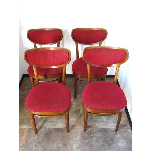Vintage Chairs from Thonet, 1960s, Set of 4 For Sale - Image 9 of 10