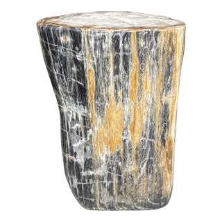 Andrianna Shamaris Modern Organic Petrified Wood Side Table For Sale