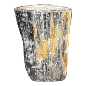 Andrianna Shamaris Modern Organic Petrified Wood Side Table