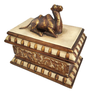 Box Camel