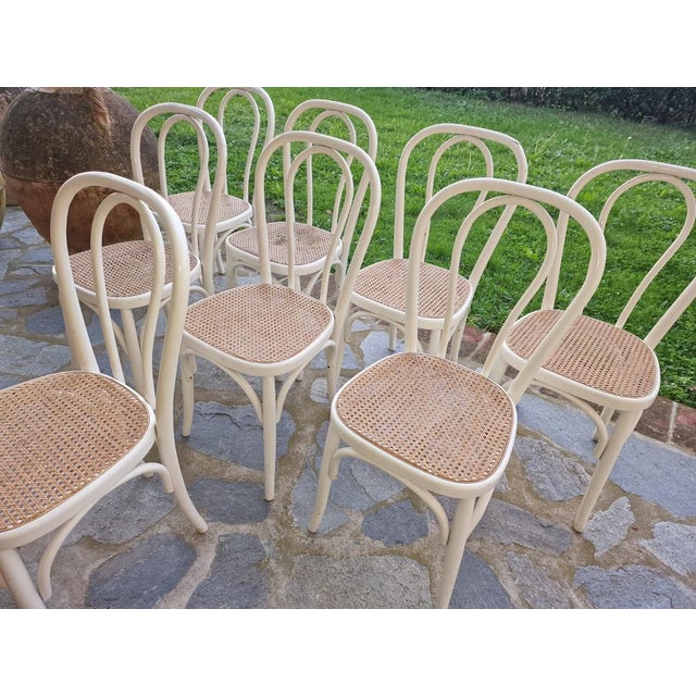 1980s Bistro Chairs in White Painted Beech and Vienna Straw attributed to Michael Thonet, 1980s, Set of 8 For Sale - Image 5 of 16