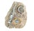 Ammonite and Orthoceras Fossil Plaque - Organic Modern Prehistoric Art For Sale - Image 4 of 10