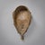 Early 20th Century Dan Poro Ceremonial Mask With Bell For Sale - Image 12 of 12