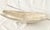Late 20th Century Crate & Barrel Handcrafted "Allegra" Nickel-Finish Oblong Centerpiece Bowl For Sale - Image 5 of 12